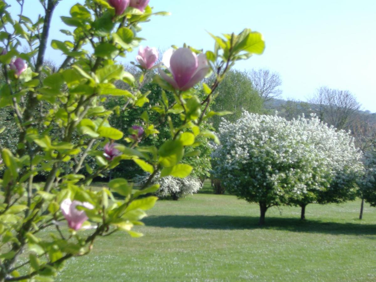 Gites Du Manoir De Goandour Crozon Bagian luar foto